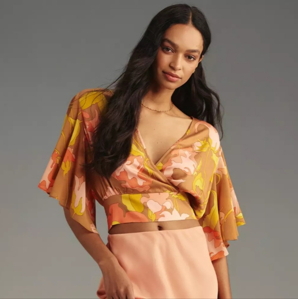 NWT Anthropology Gorgeous Vneck Floral blouse!  Retails $98